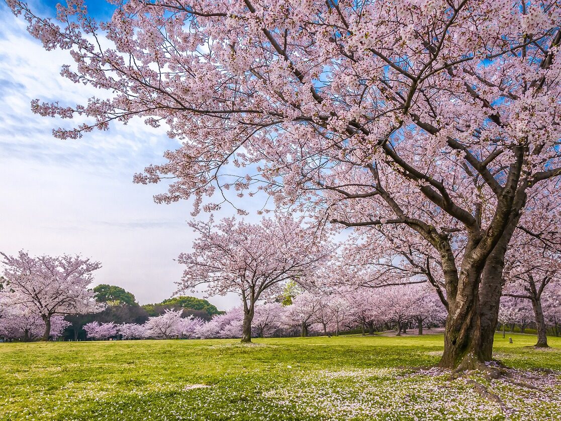 AdobeStock_180947233